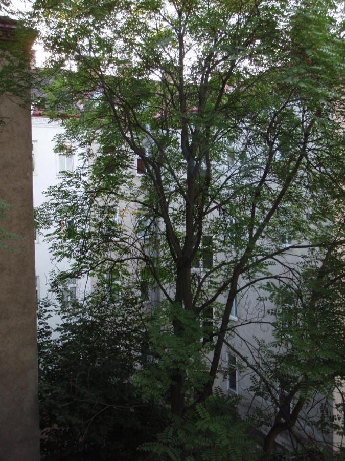 비엔나 Augartenblick Penthaus 16 아파트 외부 사진